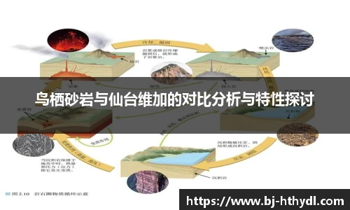 鸟栖砂岩与仙台维加的对比分析与特性探讨